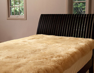 画像の説明 画像の説明